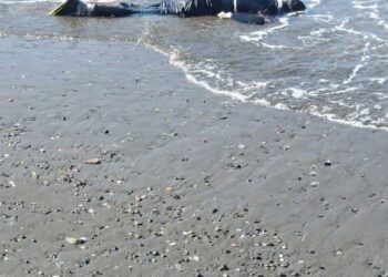 البحر يلفظ جثة غطاس جزائري نواحي شواطىء ادريوش : 