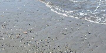 البحر يلفظ جثة غطاس جزائري نواحي شواطىء ادريوش : 