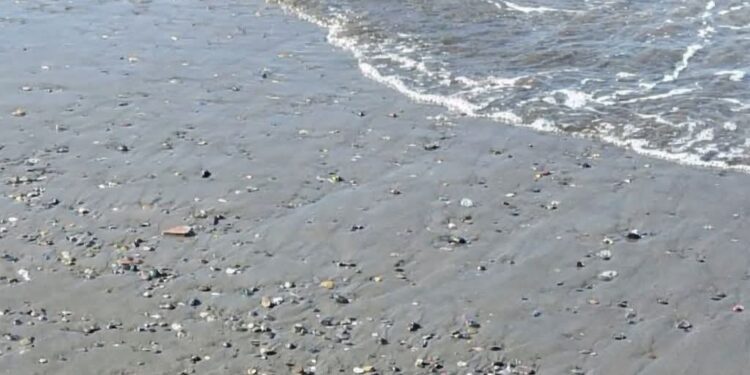 البحر يلفظ جثة غطاس جزائري نواحي شواطىء ادريوش :