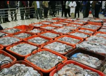 وجهة نظر بخصوص ارتفاع اسعار السمك باسواق الحسيمة :