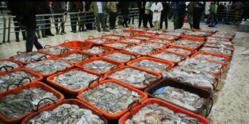 وجهة نظر بخصوص ارتفاع اسعار السمك باسواق الحسيمة :