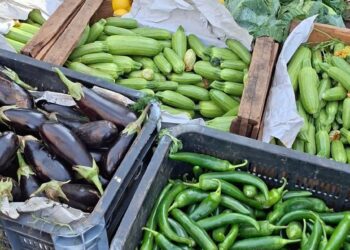 الأسواق بين فوضى “الفراقشية” وضعف المراقبة: 