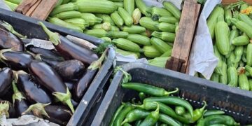 الأسواق بين فوضى “الفراقشية” وضعف المراقبة: 