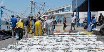 جمعية تجار السمك بميناء الحسيمة تستنكر قرارات جديدة للمكتب الوطني للصيد : 