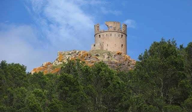 حصن : ثازوضا الاثري التاريخي بالناظور معلمة وطنية في حاجة إلى الدراسة و التاهيل :