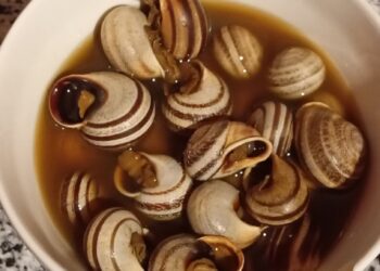 استهلاك الحلزون بالشارع العام هل يشكل خطرا على الصحة العامة : 