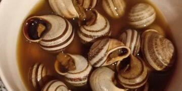 استهلاك الحلزون بالشارع العام هل يشكل خطرا على الصحة العامة : 