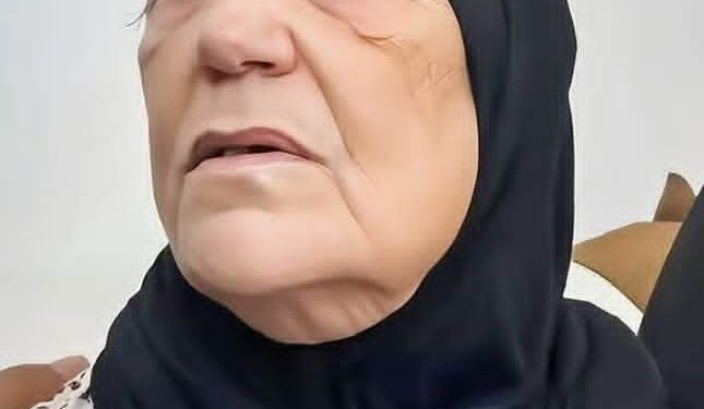 الجمعية المغربية لحقوق الانسان : بيان تضامني مع السيدة زوليخة والدة معتقل حراك الريف ناصر الزفزافي وإدانة لحملة التشهير والاستهداف : 