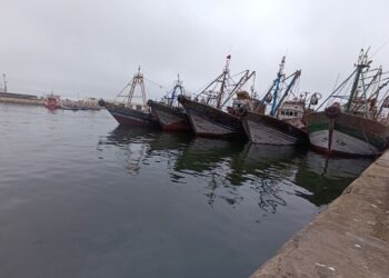 طنجة تحتضن حواراً مغربياً إسبانياً لرسم خارطة طريق للصيد المستدام وحماية التنوع البيولوجي ببحر البوران: 