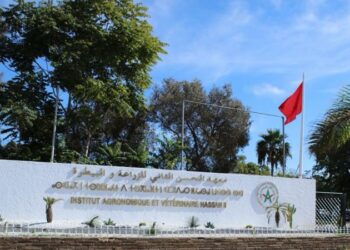 بعد استكمال مراحله القانونية والإدارية.. ملف تسوية الوضعية النظامية للأطباء البياطرة الأساتذة الباحثين عالق بوزارة الاقتصاد والمالية