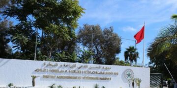 بعد استكمال مراحله القانونية والإدارية.. ملف تسوية الوضعية النظامية للأطباء البياطرة الأساتذة الباحثين عالق بوزارة الاقتصاد والمالية