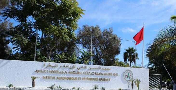 بعد استكمال مراحله القانونية والإدارية.. ملف تسوية الوضعية النظامية للأطباء البياطرة الأساتذة الباحثين عالق بوزارة الاقتصاد والمالية
